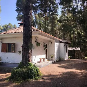 Floral Garden House Icod De Los Vinos
